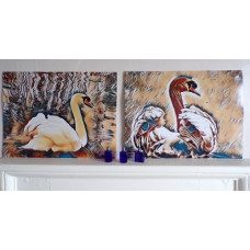 Swans A4 Art Prints Designed & Printed In Norfolk Pack of 2