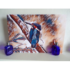 Kingfisher Looking Norfolk Fens Art Print Matt Finish A4 