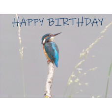 Kingfisher Happy Birthday Card A5 Size With Envelope 