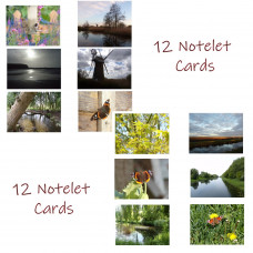 Mixed Notelet Blank Cards A6 Size Pack Of 12