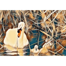 Swan & Cygnet Art Print A4 Size Matt Finish 