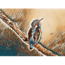 Kingfisher Art Picture A4 Size (4)