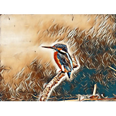 Kingfisher Art Picture A4 Size (3)