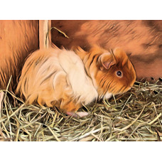 Cream & White Pet Guinea Pig Art Print A4 Size Matt Finish 