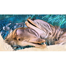 Dolphin Friends A4 Size Print Matt Finish 
