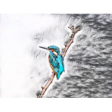 Kingfisher Art Picture A4 Size (6)