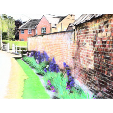 Irises Outwell Art Print A4 Size Matt Finish 