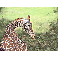 Giraffe Sitting Art Print A4 Size Matt Finish 