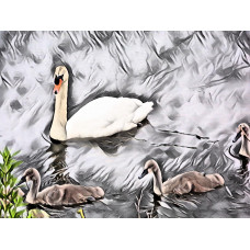 Swan & Cygnets Well Creek Norfolk Art Print A4 Size Matt Finish 