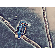 Kingfisher Art Picture A4 Size (1)