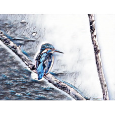 Kingfisher Art Picture A4 Size (8)