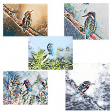 Art Cards Mixed Kingfishers Pack Of 5 A5 Size 