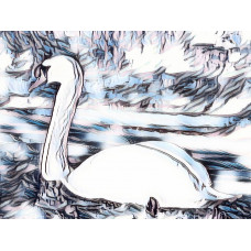 Swan Blue & White Art Print A4 Size Matt Finish 