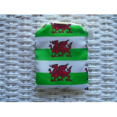 Welsh Dragon Purse or Card Holder 