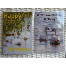 Swan Happy Birthday Photograph Cards Pack of 2 Taken & Printed In Norfolk