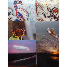 Mixed Pack of Greetings Cards Pack of 6 A5 Size Blank Inside 