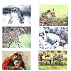 Animal Greetings Cards Pack of 6 A5 Size Blank Inside 