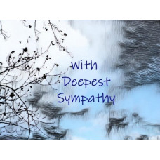 With Deepest Sympathy Card Blank Inside A5 Size  