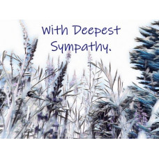 With Deepest Sympathy Card Blank Inside A5 Size Blue White 