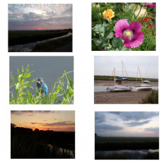 Mixed Greetings Cards Pack of 6 A5 Size Blank Inside 