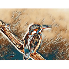 Kingfisher Art Picture A4 Size (7)