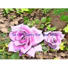 Coloured Roses So Very Sorry For Your Loss Sympathy Card Blank Inside A5 Size Multi 