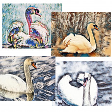 Swan Art Cards Pack Of 4 Mixed A5 Size 
