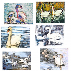 Swan Art Cards Pack Of 6 Mixed A5 Size 
